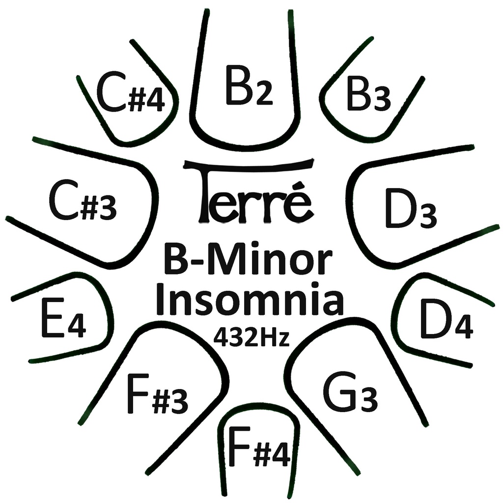 Tongue Drum Insomnia B Minor 432Hz + Borsa/Bacchette