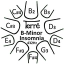 Tongue Drum Insomnia B Minor 432Hz + Borsa/Bacchette