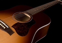 Seagull Artist Mosaic Concert Hall Bourbon Burst GT EQ Gloss Top L.R. Baggs Element