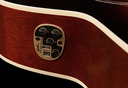 Seagull Artist Mosaic Concert Hall Bourbon Burst GT EQ Gloss Top L.R. Baggs Element