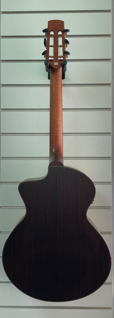 Schertler Acustic