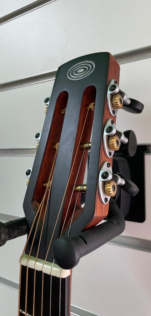 Schertler Acustic