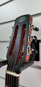 Schertler Acustic