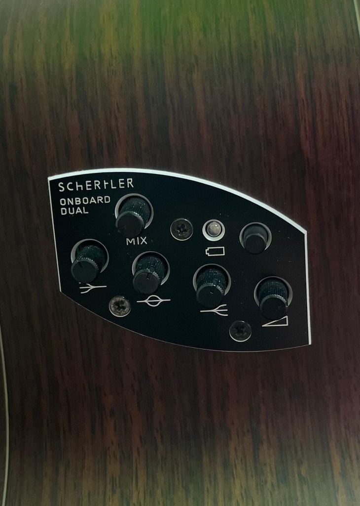 Schertler Acustic