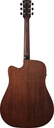 Ibanez AW54-OPN