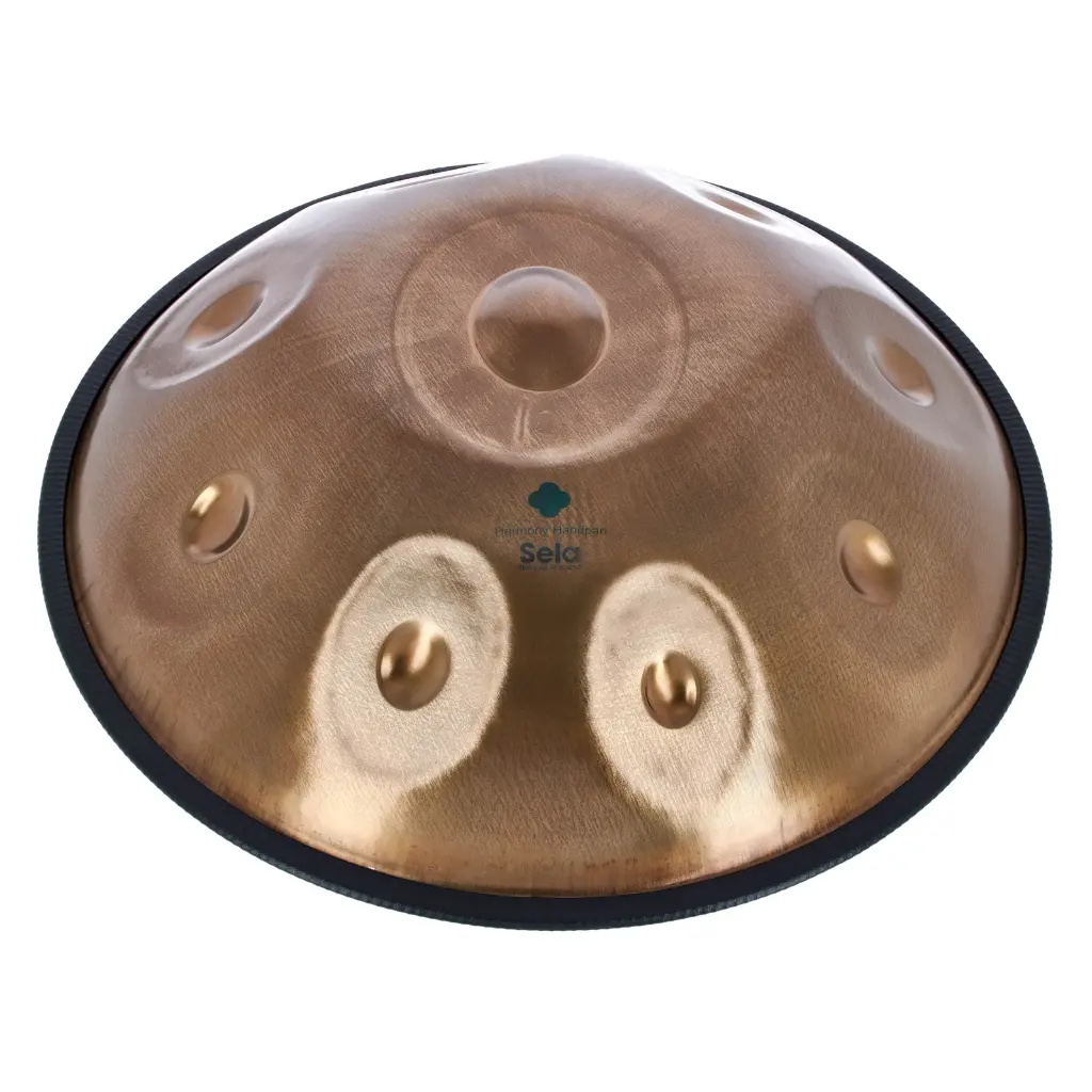 Handpan D Kurd SELA SE-201