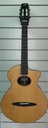 Schertler Acustic