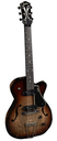 Godin 5th Avenue Thinline LIMITED Gold Foil Dogear Vintage Burst HG