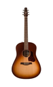 Seagull Entourage Autumn Burst Dreadnought