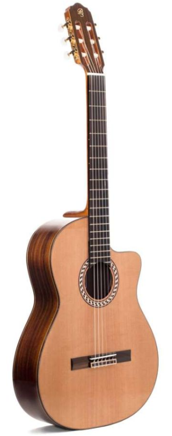 Prudencio Saez Cutaway Palosanto Fishman