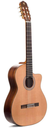 Prudencio Saez Cutaway Palosanto Fishman
